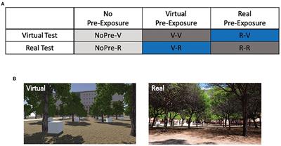 Exploring the Spatial Relationships Between Real and Virtual Experiences: What Transfers and What Doesn't